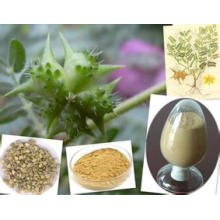 Factory Supply Directly with Competitive Prices100% Natural Tribulus Terrestris Powdered Extract